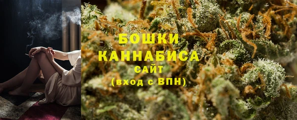 молекула духа Медногорск