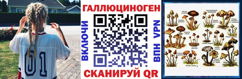купить   Нариманов  Псилоцибиновые грибы мицелий 